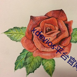 918博天堂·(中国)手机版客户端