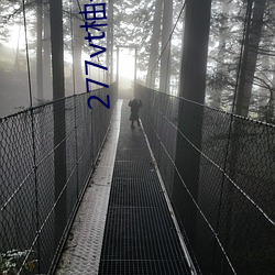 277vt柚(柚)子(子)直播