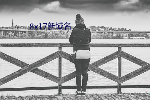 8x17新域名