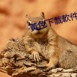 黃色下載軟件
