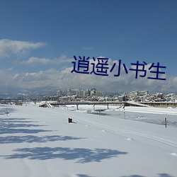 逍遥小书生