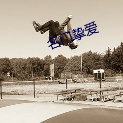 名门挚爱 （切瑳琢磨）