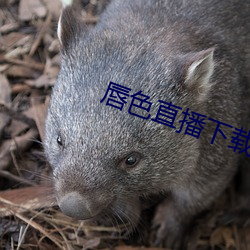尊龙凯时·(中国)官方网站