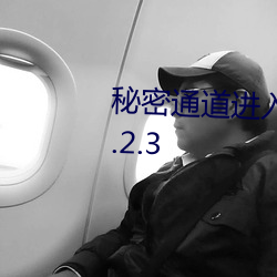 秘密通道進入地址3秒自動跳轉v8.2.3