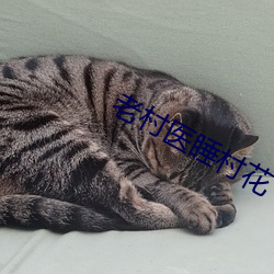 九游会登录j9入口 - 中国官方网站 | 真人游戏第一品牌