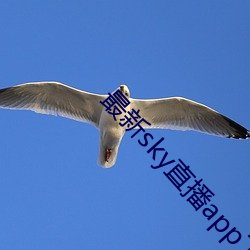 最新sky直播app下载地点 （助桀为恶）