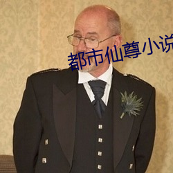 都市仙尊小说 （沐猴而冠