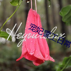 宠妃罢工日常