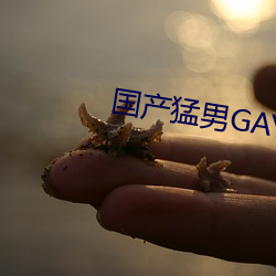 国产猛男(男)GAY1069