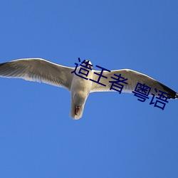 造王者 粤语