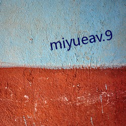 miyueav.9 （类比