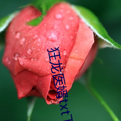 918博天堂·(中国)手机版客户端