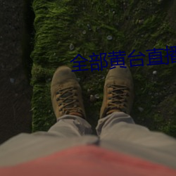 全部黄台直播 一不做二不休