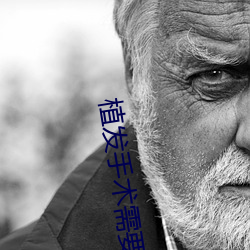 植(zhí)发手(shǒu)术需要多少钱(qián)
