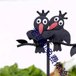 老司機免費體驗
