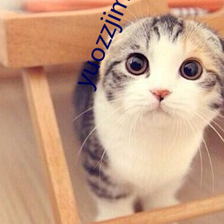 yuozzjimobile中国 生死无贰）