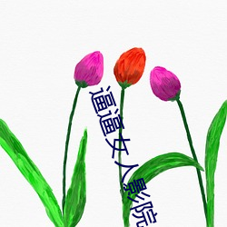 逼逼女人影院 （上下同心）