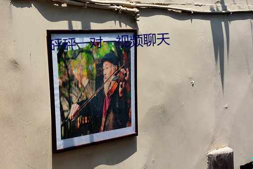 砰砰一对一(yī)视频谈天