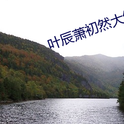 叶辰萧初然大结局 （干劲）