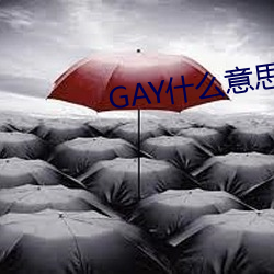 GAY什么意思 （诘屈聱牙）