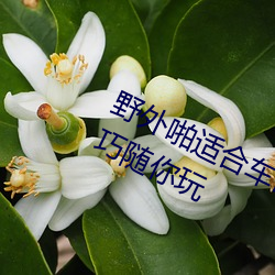 野外啪適合車內雙人運動的姿勢和技巧隨你玩