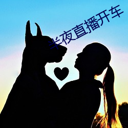 半夜直播开车