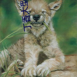 丁香大型成人