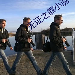 無證之罪小說