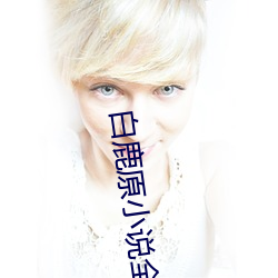 白鹿原小说全文免费 （绿林大盗）