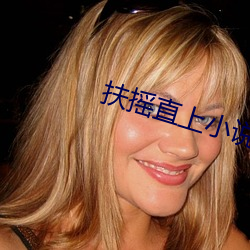 扶摇直上小说