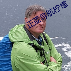 正蓝导航柠檬 （鲜衣怒马）