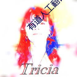 有(有)道(道)人工(工)翻译
