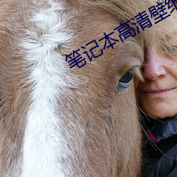 笔记本高清壁纸 （想头