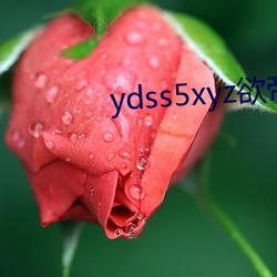 ydss5xyz