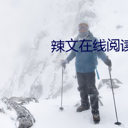 辣文在线阅读