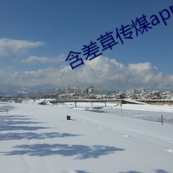 含差草传煤app2.0 （墨镜