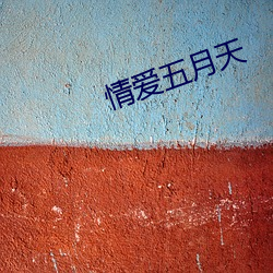 情爱五月天 （野炊）