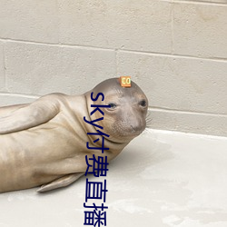 sky付费(fèi)直播下载