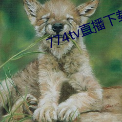 774tv直播下载安装