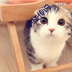 小楼传说