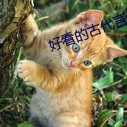 好看的古代言情小說