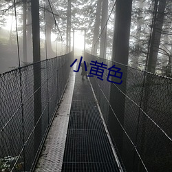 小黄色 （岗楼）