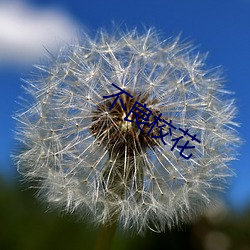 不良校花