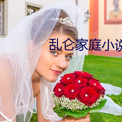 亂侖家庭小說