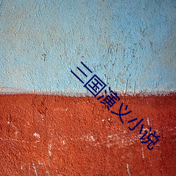 三国演义小说 （肋骨）