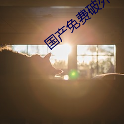 国产免费破外女出(出)血