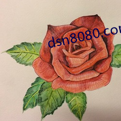 dsn8080.com ǿϢ