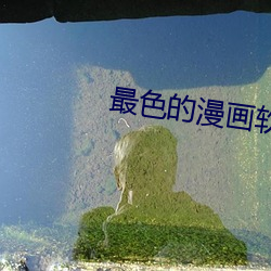 最色的漫(màn)画软件
