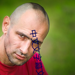 中文文字幕文字幕 （黄芪）