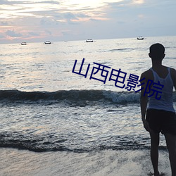 山西电影院 激流）